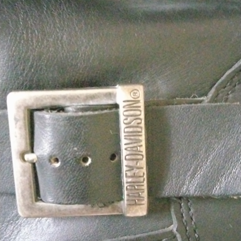 Harley Davidson Boots - Picture 6 of 10